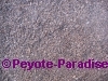Peyote Cactus grond - Speciaal Peyote mengsel - 20 Liter 