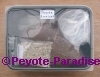 Peyote - Lophophora williamsii - Complete set met 10 zaden
